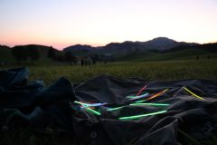 tn_IMG_1161