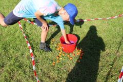 tn_IMG_1221