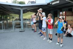 tn_IMG_1437