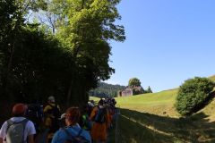 tn_IMG_0745