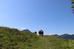 tn_IMG_0755