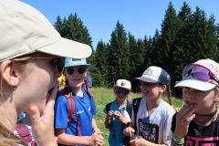 tn_IMG_0766