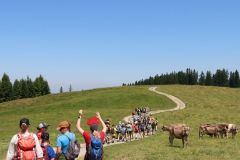 tn_IMG_0807