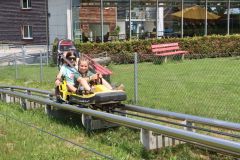 tn_IMG_0851