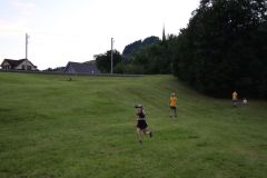 tn_IMG_0689