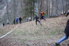 tn_IMG_4854