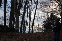 tn_IMG_4862