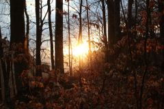 tn_IMG_4890