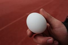 tn_IMG_0052