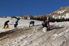 tn_IMG_0113