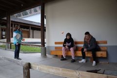 tn_IMG_0487