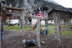 tn_IMG_0517