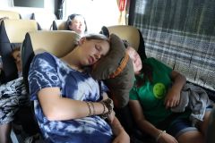 tn_IMG_1511