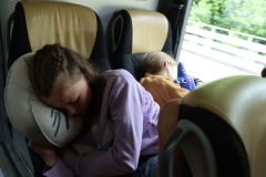 tn_IMG_1516