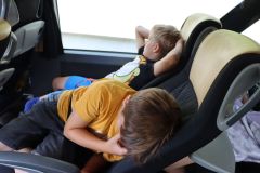 tn_IMG_1522