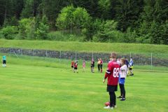 tn_IMG_2463