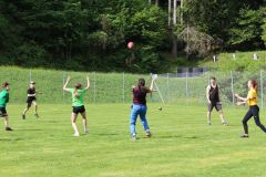 tn_IMG_2539