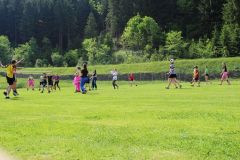 tn_IMG_2566