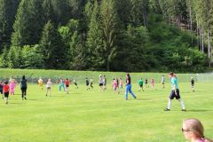 tn_IMG_2579